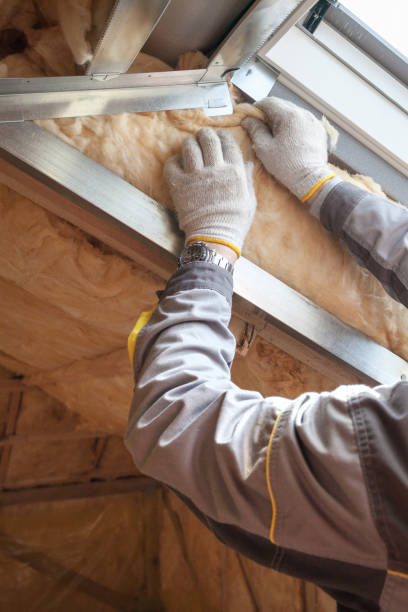 Best Insulation Maintenance and Repair in West Yellowstone, MT