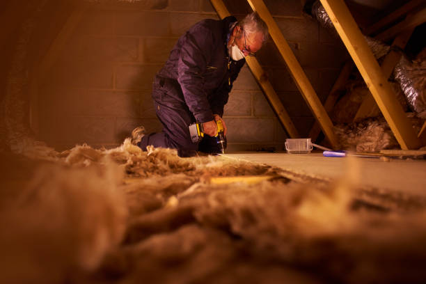 Professional Insulation Contractor in MT